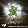 Green Seekers Activity